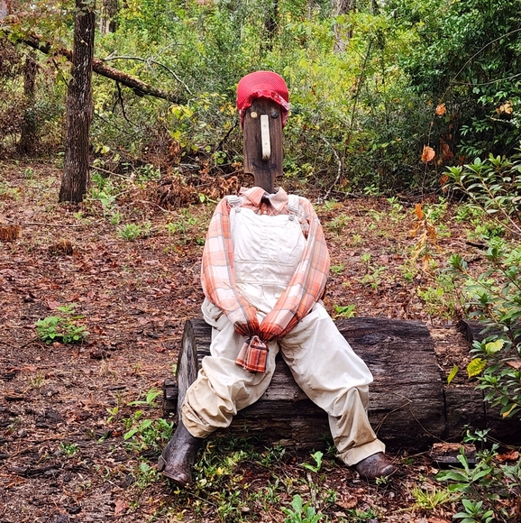 Meet your Posher, Amg - Picture 1 of 1